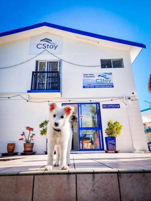 Cstay Picnic Bay Dış mekan fotoğraf
